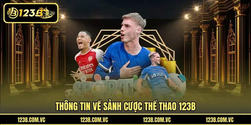Thông tin về sảnh cược thể thao 123B
